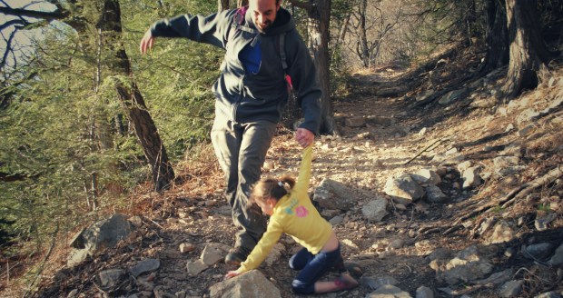 DSC_2784.JPG-01.jpeg image