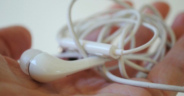 DSC_2820.JPG (2)-01.jpeg image