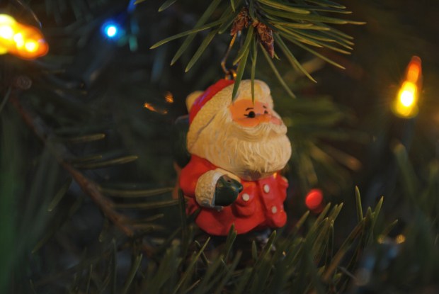 DSC_0193 (2)-01.jpeg