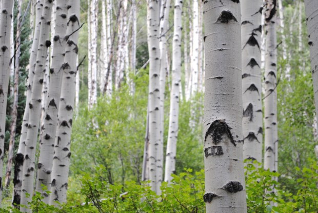 2018-09-25_07-56-02-01