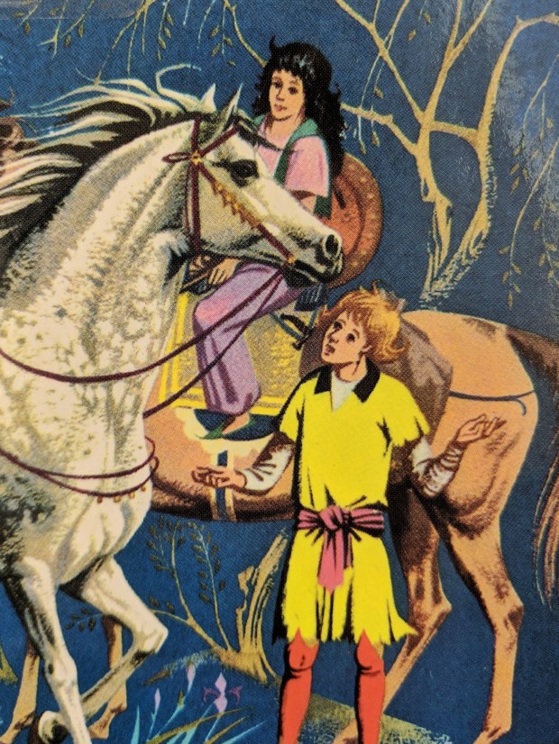 IMG_20190219_115415-01