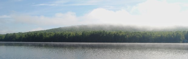 29131348481_3367520bde_o-01