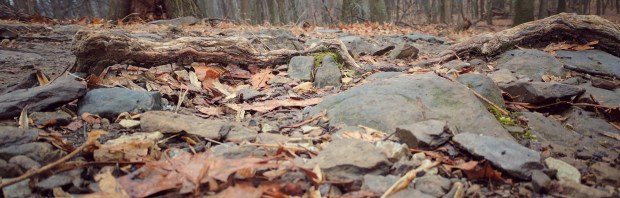 img_20170117_110606-01