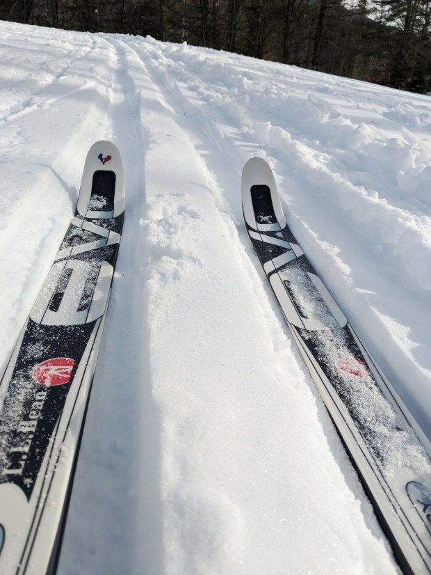 IMG_20200215_151227-01